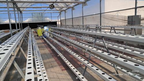 G AND N FORTUNE LIMITED's efficient hydroponic grow system
