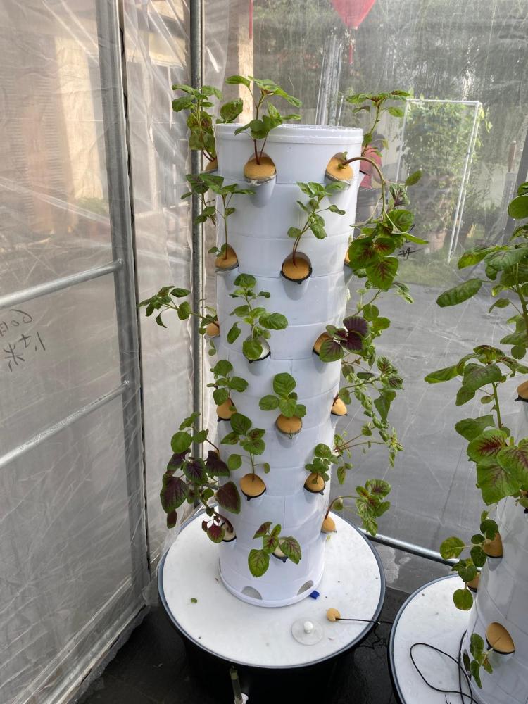 21.G AND N FORTUNE LIMITED offers the best tower garden hydroponic systems for efficient gardening.