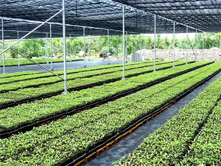 Protect your seedlings with covers for seed trays from G AND N FORTUNE LIMITED in hydroponic setups.