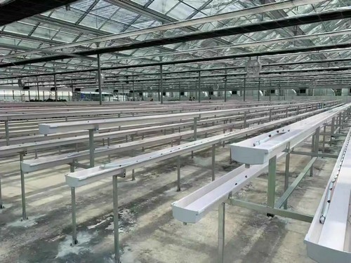 G AND N FORTUNE LIMITED’s grow room ventilation system optimizes hydro setups.