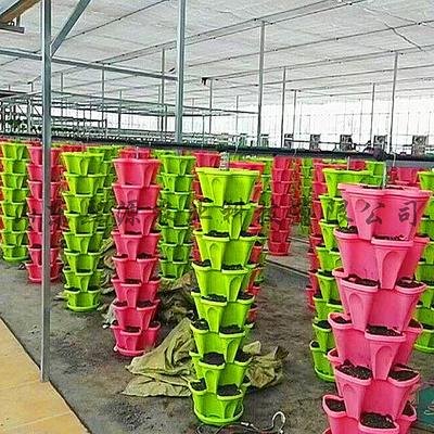 Flower Pots Big Outdoor by G AND N FORTUNE LIMITED are designed for hydroponic gardens.