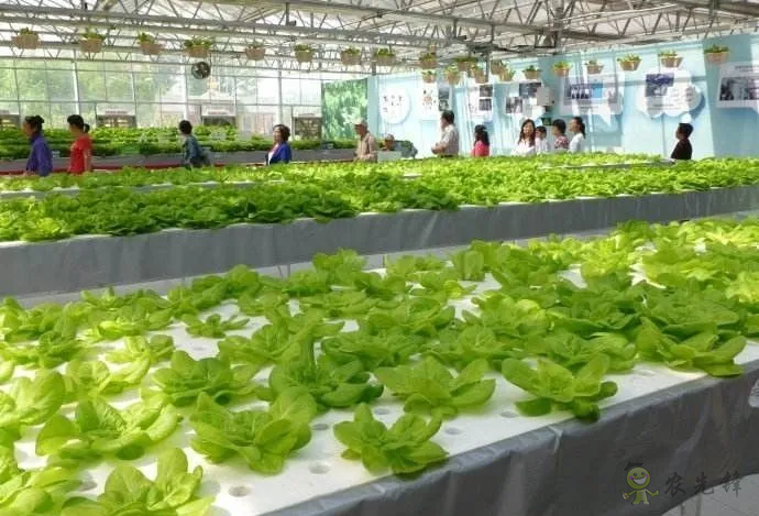 G AND N FORTUNE LIMITED offers a wide range of hydroponics store products for efficient plant cultivation.