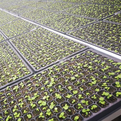 G AND N FORTUNE LIMITED’s ferry morse seed tray is perfect for hydroponic seed starting needs.
