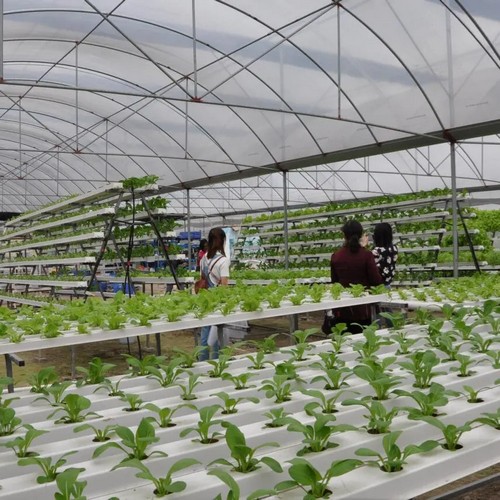  G AND N FORTUNE LIMITED provides reliable hydroponics growing systems for year-round harvests.  