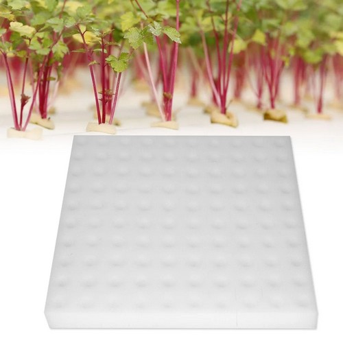  G AND N FORTUNE LIMITED's large hydroponic sponge for hydro.
