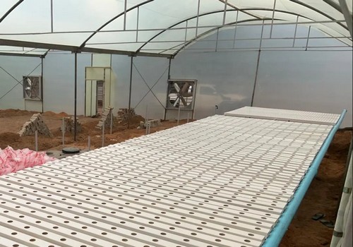 G AND N FORTUNE LIMITED’s growing weed system indoors: hydroponic focused.