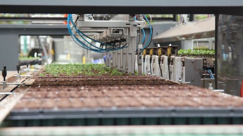 G AND N FORTUNE LIMITED provides hydroponics equipment for perlite without fertilizer.