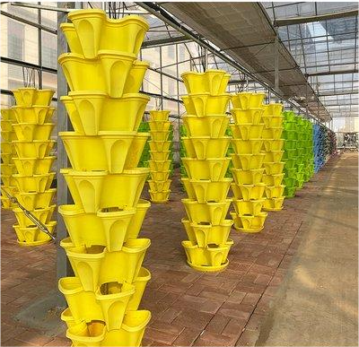 G AND N FORTUNE LIMITED strawberry flower pot enhances hydroponic fruit production.
