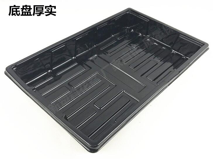 Protect your seedlings with covers for seed trays from G AND N FORTUNE LIMITED in hydroponic setups.
