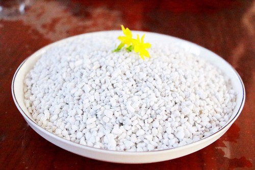 G AND N FORTUNE LIMITED's hydroponics tools for las perlitas use