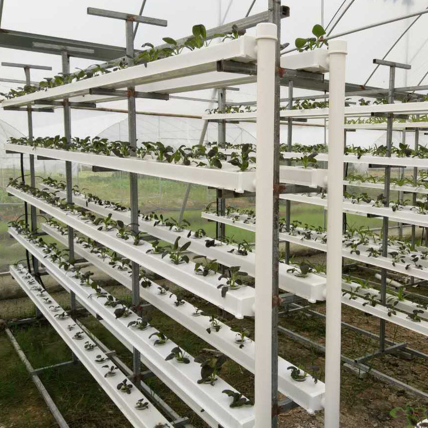 Build your ideal indoor hydroponic garden with G AND N FORTUNE LIMITED's top-quality systems and supplies.