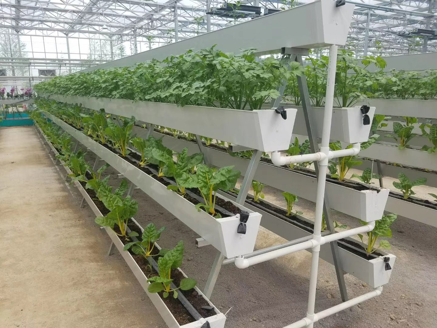 Automatic watering system for grow tent by G AND N FORTUNE LIMITED.