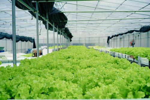 3.High - quality indoor growing systems by G AND N FORTUNE LIMITED