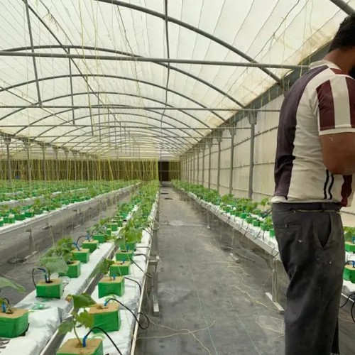 Explore G AND N FORTUNE LIMITED's strawberry planter gutter for reliable hydroponic setups.  
