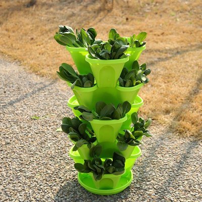 Flower Pot and Stand from G AND N FORTUNE LIMITED elevate hydroponic plants beautifully.