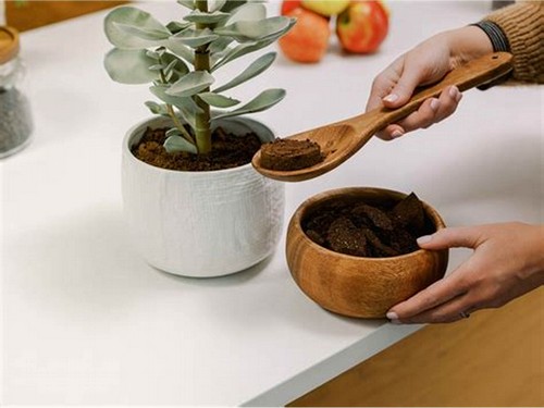 G AND N FORTUNE LIMITED's cocopeat for hydroponics use. 