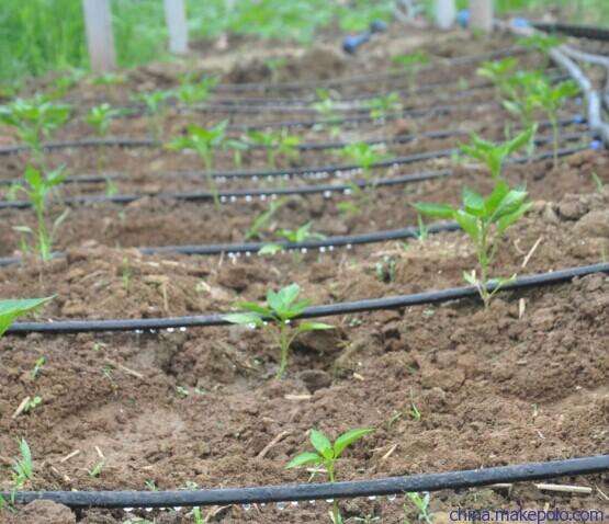 G&N 3 inch HDPE pipe for hydroponic tasks.