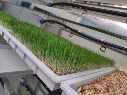G AND N FORTUNE LIMITED’s aeroponics fodder gutter tray: key hydroponic equipment.
