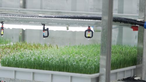 G AND N FORTUNE LIMITED’s gear ends fodder for source of suffering: hydroponic equipment.