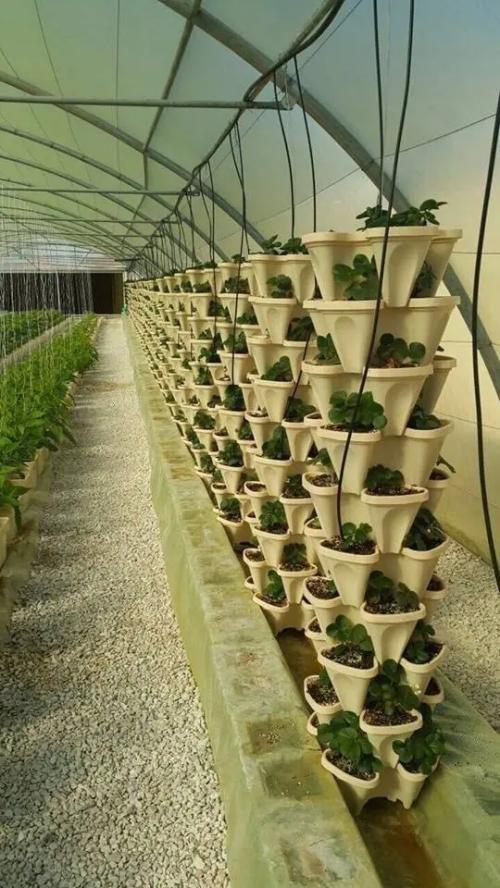 Flower Pot for Home Decoration from G AND N FORTUNE LIMITED makes indoor hydroponics easy.