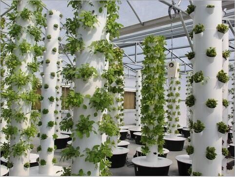 18.Maximize plant growth with G AND N FORTUNE LIMITED’s tower hydroponic systems for home use.