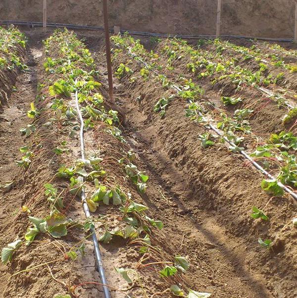 G&N HDPE pipe for sale, great for hydroponics.