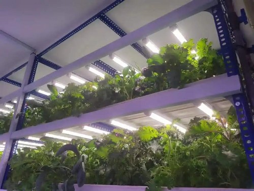 Grow systems hydroponic from G AND N FORTUNE LIMITED: premium choice.