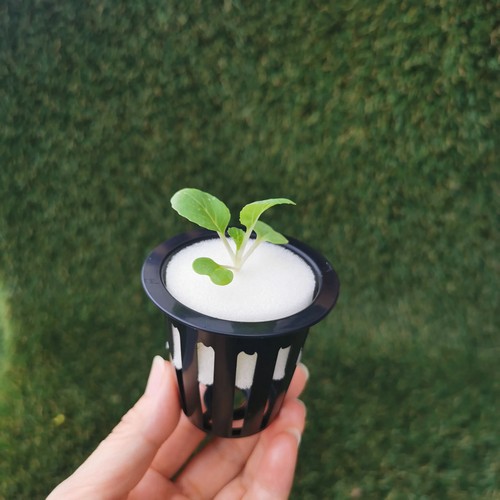 G AND N FORTUNE LIMITED's netted pots hydroponics: hydroponic gear.