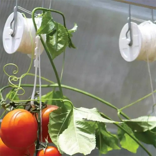 G AND N FORTUNE LIMITED offers hydroponics with tomato plant hooks.