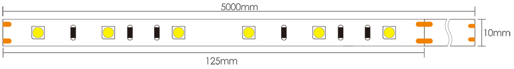 24V 12V LED Strip Dimensions
