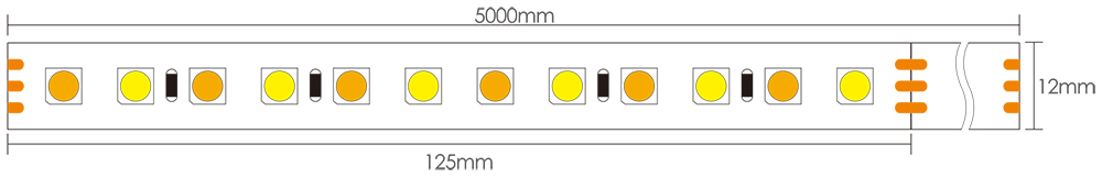 Dimensioni della illuminazione a strisce LED