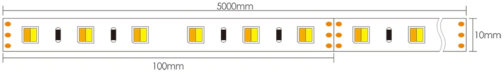 Dimensioni della luce striscia LED