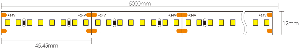 2835 LED Strip Lights Dimensions