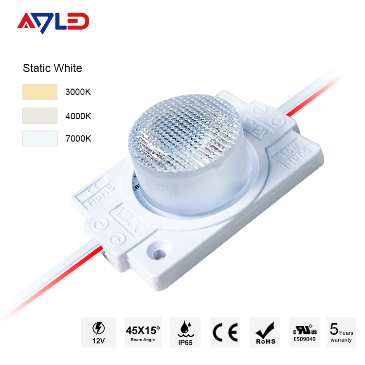 Professional LED Modules for Signs