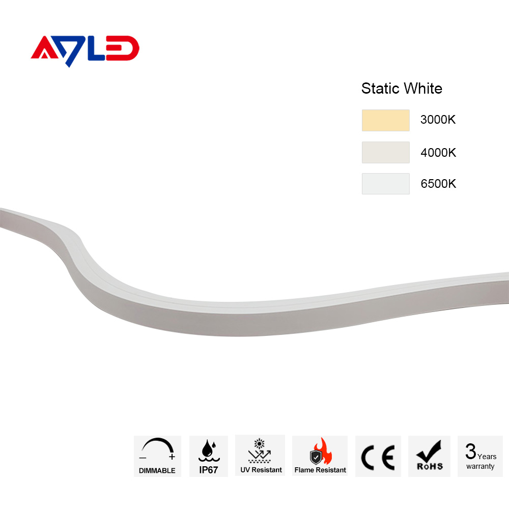 Neon LED Strip Lights