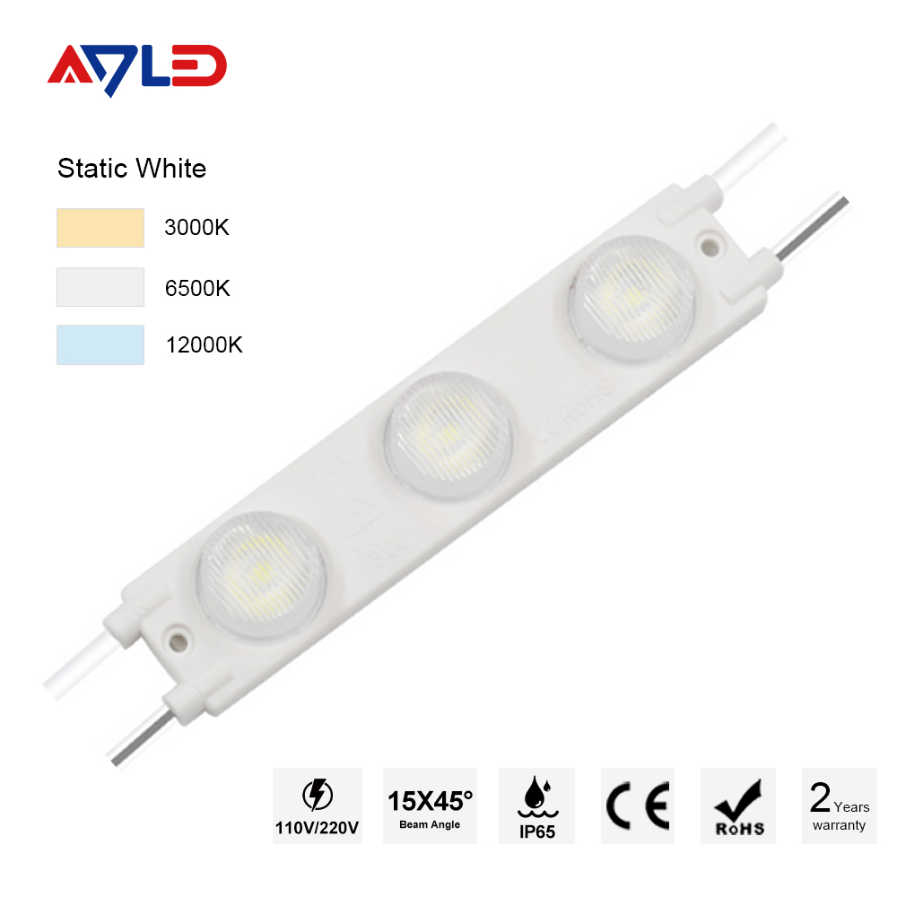 LED Module 220V