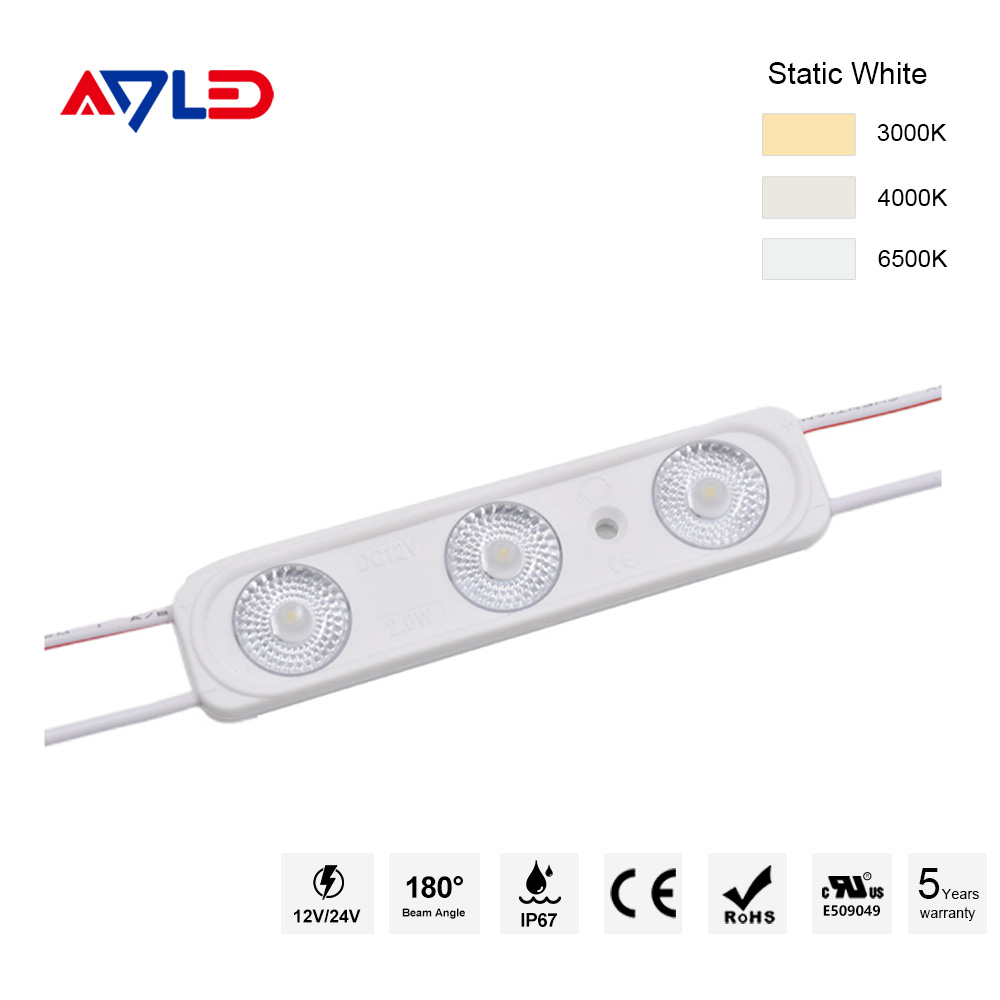 LED Module 12V
