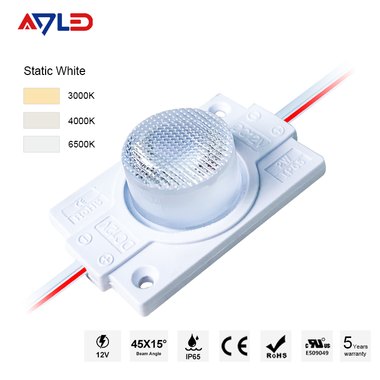 Outdoor LED Module