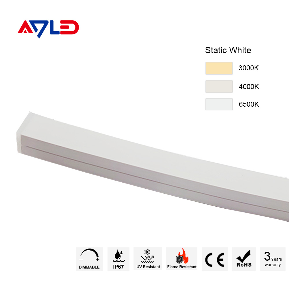 Neon Lighting Strip