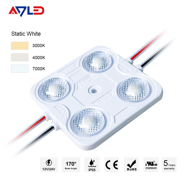 Injection LED Module