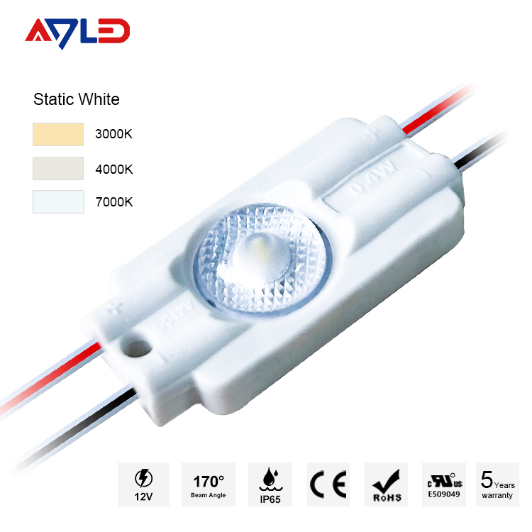 12 Volt LED Module