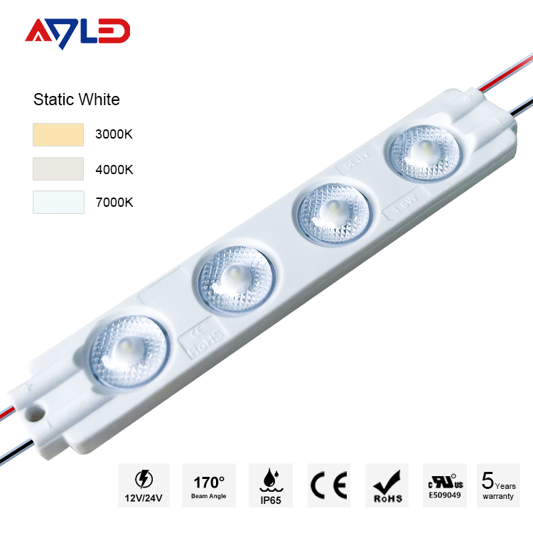 LED Module Light