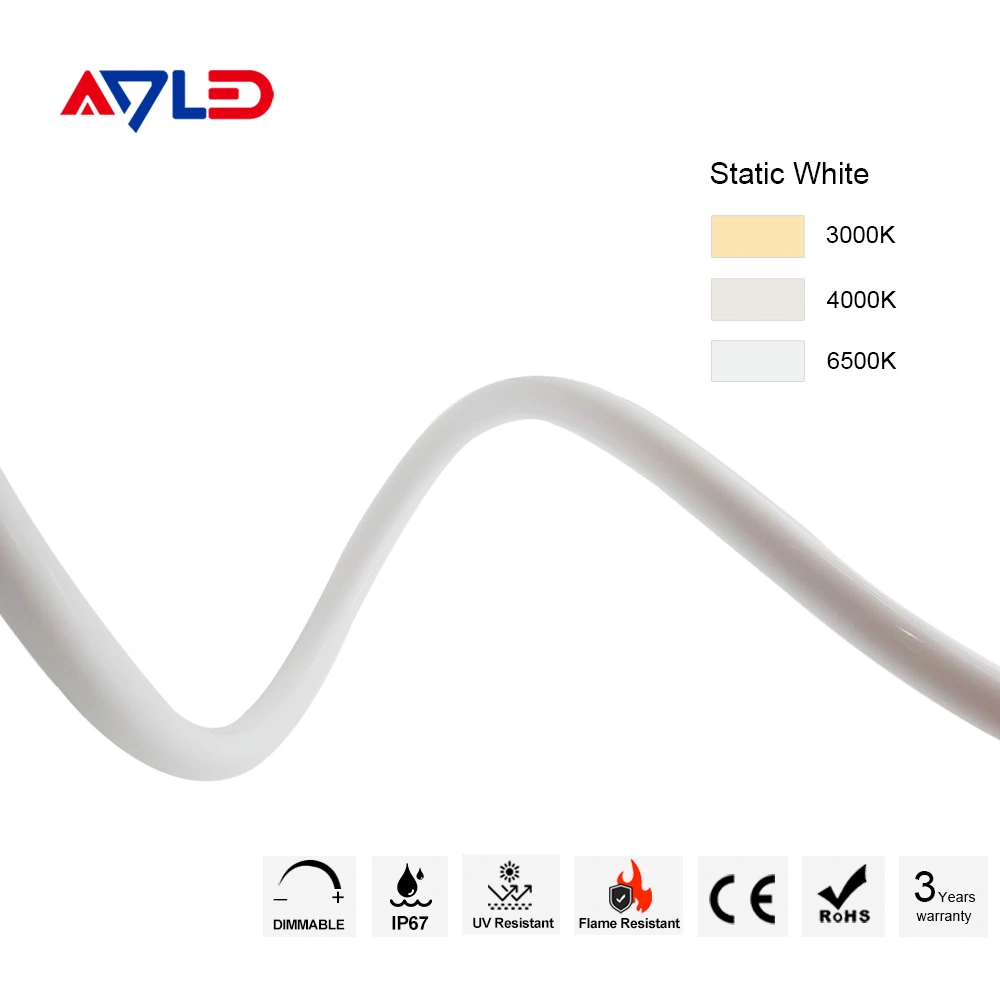 Neon LED Strip