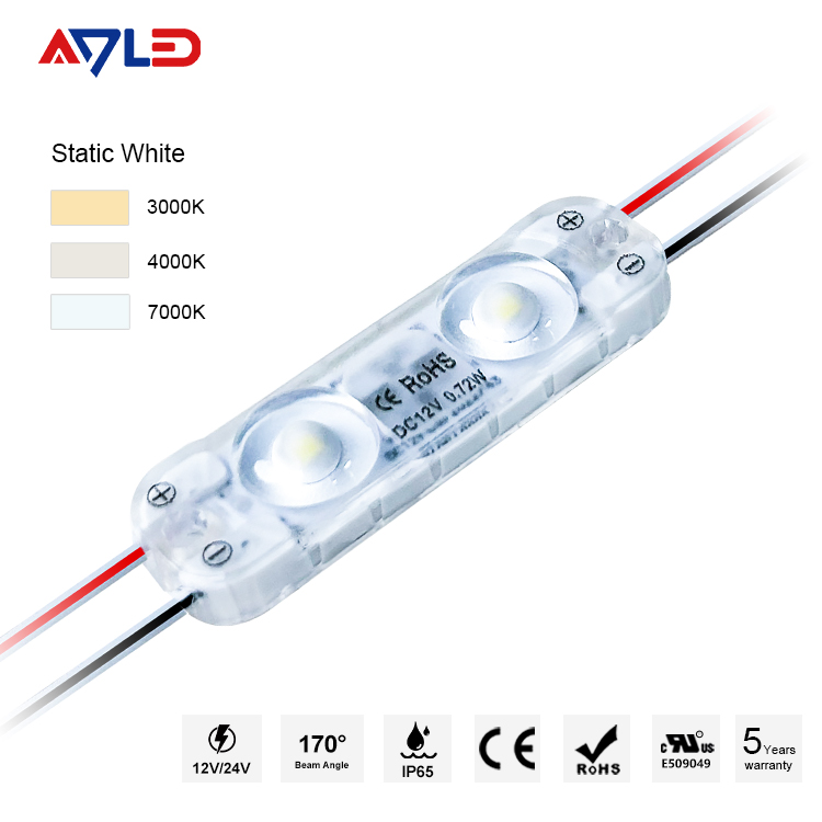 2LEDs 12V 24V 2835 SMD LED Modules