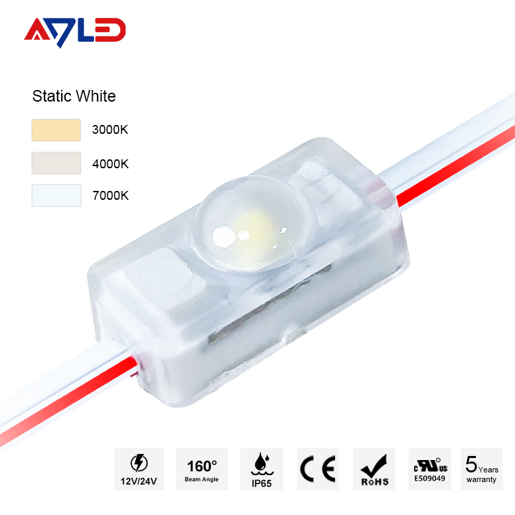 12V LED Module
