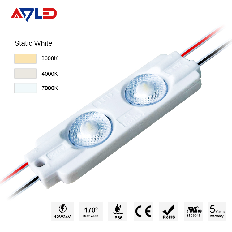 Module LED