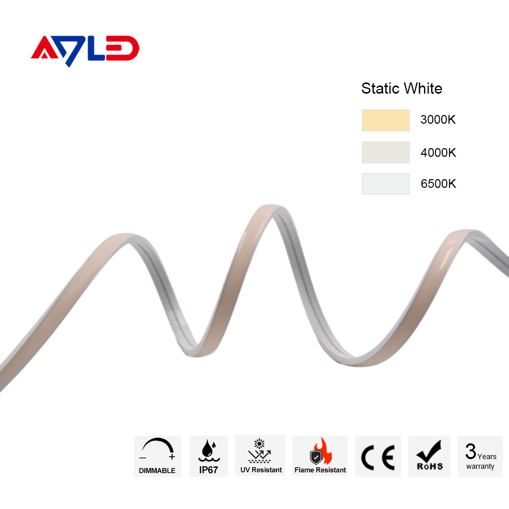 Neon Flex LED Light