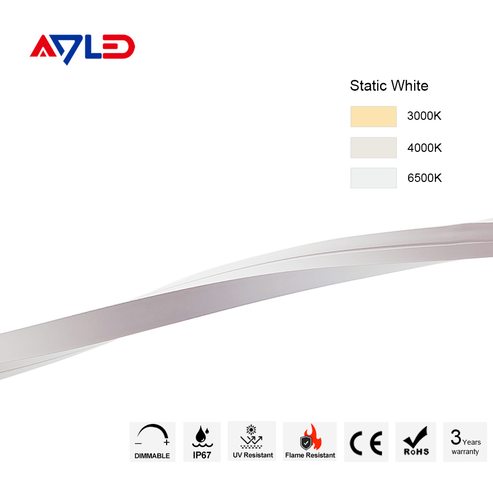Neon LED Strip Light