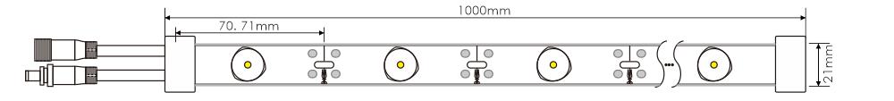 Backlit LED Light