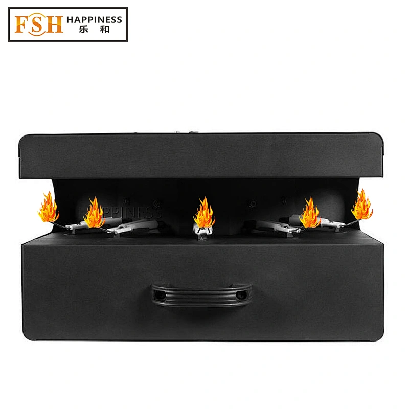 DMX512 Five Heads Flame Thrower Stage Show Effect Flame Lighting DMX Fire Machine Launcher For Outdoor DJ Stage Effect Show